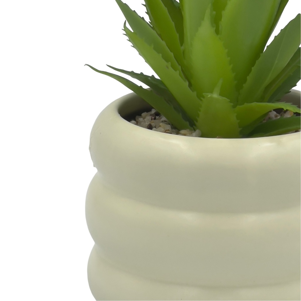 Suculenta base Michelin 18cm