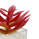 Suculenta rosada base vidrio 9cm