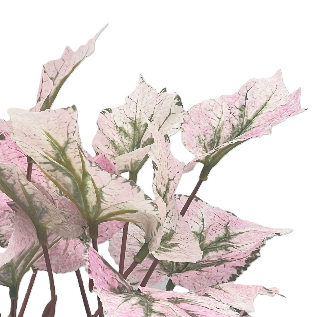 Planta artificial Singonio rosa 30cm