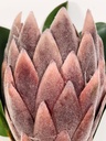Protea artificial M morada