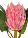 Protea artificial M rosada