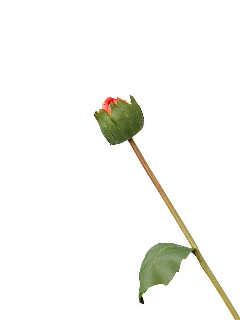 Dalia artificial naranja