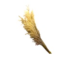 Pasto artificial blanco 103cm